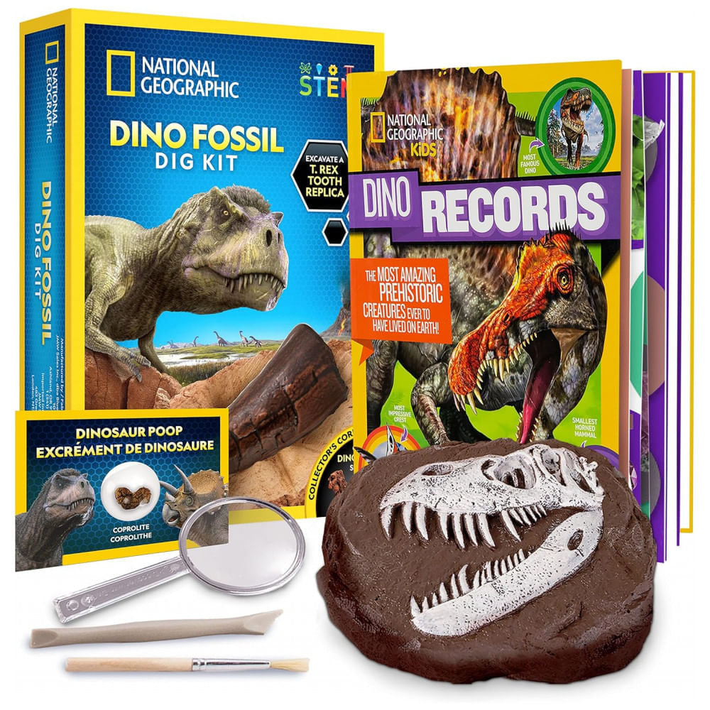 Kit Livro de Dinossauro e de Fóssil de Dente de Dinossauro para Escavar,  National Geographic - Dular